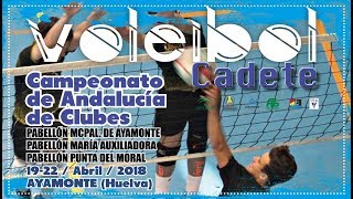 CADEBA 2018  Final Campeonato de Andalucía de Clubes Cadete Masculino [upl. by Clari435]