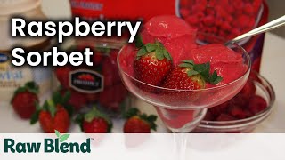 How To Make Raspberry Ice Cream in a Vitamix Blender  Video  Raw Blend Australia [upl. by Sewoll669]