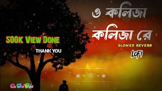 ও কলিজাকলিজা রেO Kolija Kolija re Slowed Reverb lofi songs [upl. by Enaled433]