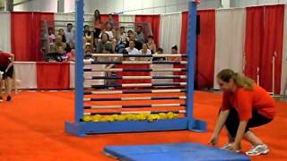 Dog Show  High Bar Jumping [upl. by Gyatt]