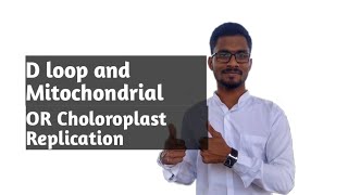 D loop replication  mitochondrial or chloroplast DNA replication [upl. by Wright]