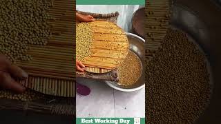 Best working day 1038 Bean sorting process [upl. by Wattenberg197]