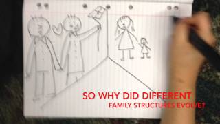 Changes in Family Structure [upl. by Papageno]