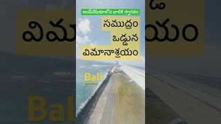 11 ఇండోనేషియాలోని బాలికి స్వాగతం welcome to Bali Indonesia Denpasar Landing on Sea Front airport [upl. by Rednaxela819]