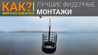 КАК Лучшие фидерные монтажи Инлайн или патерностер [upl. by Mharba528]