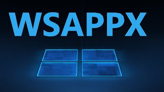 WSAPPX  Что это Как исправить нагрузку на процессор и диск в Windows 1110 [upl. by Adnohrahs]