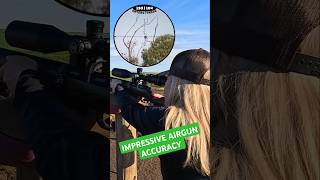 IMPRESSIVE AIRGUN ACCURACY  FX DRS  Best Airguns in the world  FX Airguns fxairguns shorts [upl. by Cole]