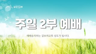 대구 갈보리교회 2부예배 네팔어 통역 인생 작품을 쓴 다윗 사무엘하 513 20240901 [upl. by Atteuqahs]