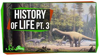 A Brief History of Life Dinosaur Time [upl. by Isabeau713]