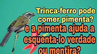 Trinca Ferro Pode Comer Pimenta [upl. by Amadeo]