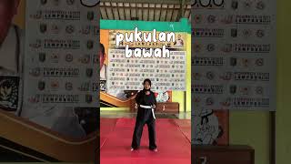 Gerak Dasar Pencak Silat Dina Amanda Npm 2213051031 [upl. by Mullins485]