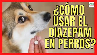 🆘 COMO USAR EL DIAZEPAM COMO TRANQUILIZANTE DE HUMANOS PARA PERROS 🆘 DOSIS [upl. by Intyrb829]