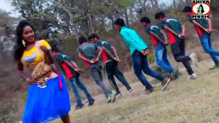 Purulia Song 2022  Jhule Jhule Ache  Biswanath amp Anita Das  Superhit  Manbhum Bangla Song [upl. by Anrak]