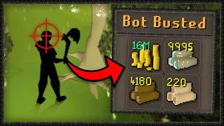 Runescape Players Can Bust Bots with Jagex [upl. by Namhar]