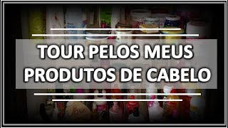 TOUR PELOS MEUS PRODUTOS DE CABELO [upl. by Uhp]