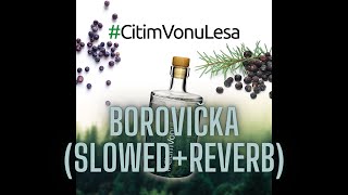 Borovička  SlowedReverb  CJs Music [upl. by Jacobine]