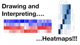 Drawing and Interpreting Heatmaps [upl. by Knowling]