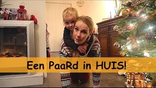 HET PAARD VAN LUCILLA  Bellinga Vlog 490 [upl. by Erialb]