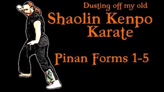 Dusting Off My Old Kenpo Forms part 1 Pinan 1  5  Shaolin Kenpo Karate [upl. by Cymbre250]