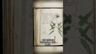 The Voynich Manuscript An Undeciphered Enigma [upl. by Hanson]