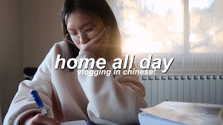 VLOG IN CHINESE  a day spent at home [upl. by Gnas]