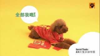 專業訓犬師 教你新春拜年動作訓犬技巧！【My Pet寵物閑情】 [upl. by Driskill]