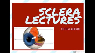 SCLERA ANATOMY basic concept to undrstand pathology [upl. by Ytissac103]