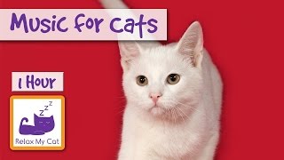 1 Hour of Music for Cats  Relax your Cats and Send them to Sleep CATS LOVE THIS MUSIC [upl. by Hynda]