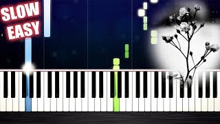 Mariage dAmour Spring Waltz  SLOW EASY Piano Tutorial by PlutaX [upl. by Lacagnia]