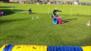 Hoopers  Nadac  HoopersAgility  Hundeschule gooddog Freudwil bei Uster [upl. by Vinn]