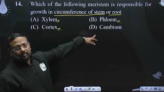 Which of the following meristem is responsible for growth in circumference of stem or root [upl. by Yenolem]