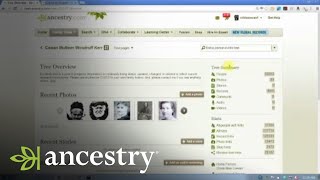 Correcting Mistakes in Your Own Family Tree  Ancestry [upl. by Coumas]