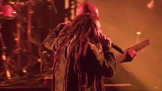 Alborosie  Kingston Town Live at Couleur Café 2018 [upl. by Hilly]