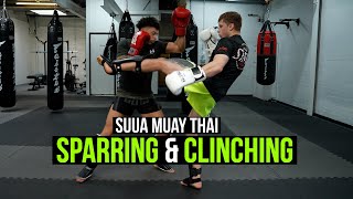 Sparring amp Clinching at Suua Muay Thai  Siam Boxing [upl. by Clevie941]