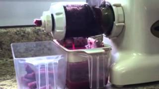 Crush and Squeeze10 lbs of muscadine grapes in less than 10 minutes with a wheatgrass juicer [upl. by Mouldon286]