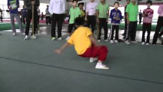 Imperial Kung Fu  Song Jiang Wushu School  Wushu Ditang [upl. by Tessy]