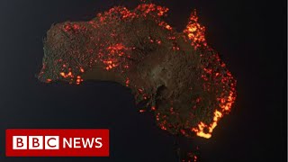 Australia fires Misleading maps and pictures go viral  BBC News [upl. by Sasha266]