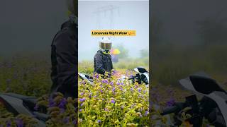 Lonavala most beautiful place 🤩 sohailvlogs lonavalatouristplaces karwi flowers travel [upl. by Yspyg223]