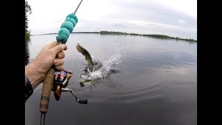 Madawaska River  PIKE DESTROYED MY HOOK [upl. by Inanuah388]