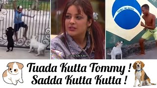 Tuada Kutta Tommy Sadda Kutta Kutta  Bhangra Mashup  Yashraj Mukhate  Harshad Gaikwad [upl. by Gayla311]