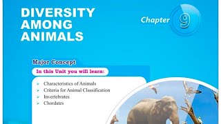 Animal kingdom lecture 6 [upl. by Souza]