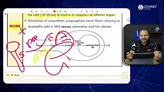 Physiology  Lecture 12  Revision [upl. by Otte897]