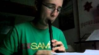 Carraroe Jig on tin whistle [upl. by Acinoev]