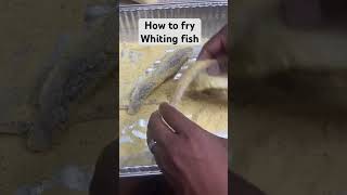 How to fry the best whiting fish whiting cooking recipe [upl. by Koslo386]