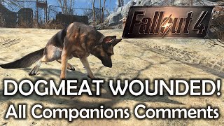 Fallout 4  Dogmeat wounded  All companions comments [upl. by Cammi]