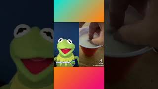 Kermit The Frog And The Cookie DISASTER ￼ TIKTOK [upl. by Lerrad]