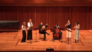 Concerto II for Four Recorders in D Minor Vivace amp Allegro  Johann Christian Schickhardt [upl. by Luanni444]