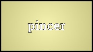 Pincer Meaning [upl. by Evangelin492]