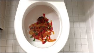 Will it Flush  Gummy Worms [upl. by Ajnek]