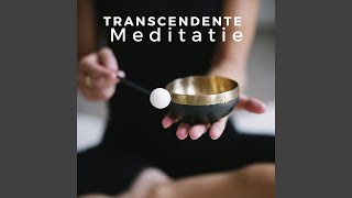 Transcendente Meditatie [upl. by Zzaj]